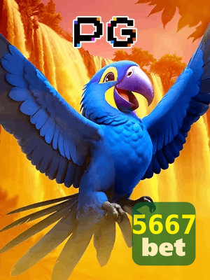5667BET bônus — cashback 15 por cento e níveis VIP