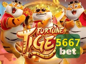 Guia install APK 5667BET BR